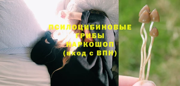 сатива Заводоуковск