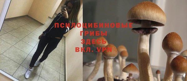 метадон Алексеевка