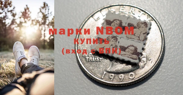прущие грибы Алзамай