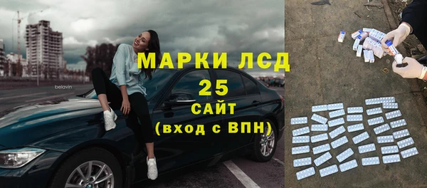 прущие грибы Алзамай