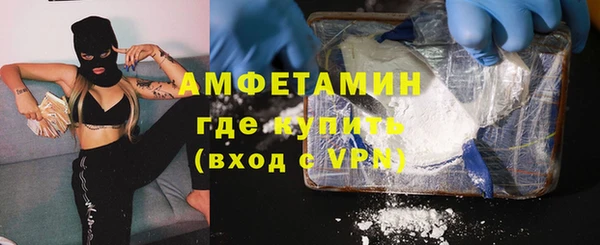 прущие грибы Алзамай