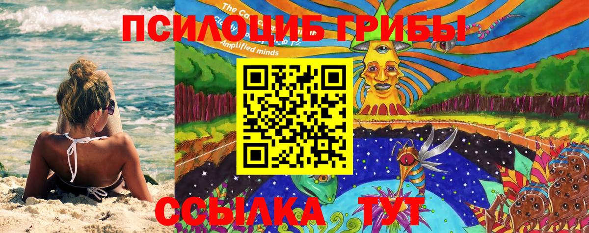 Кулебаки  Галлюциногенные грибы Psilocybine cubensis  Вход с VPN 