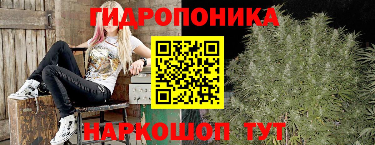 Марихуана план  Конопля Amnesia  Вход с VPN  Бошки марихуана THC 21%  Кулебаки  Каннабис Amnesia 